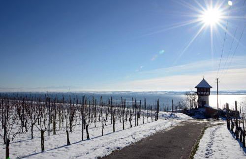 Ferienwohnung Alpenfeuer - Foto 20