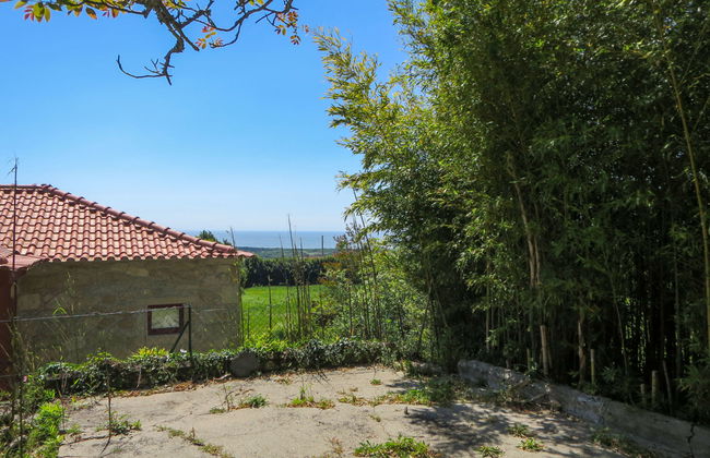 Casa da Quinta de Pedral - Photo 39