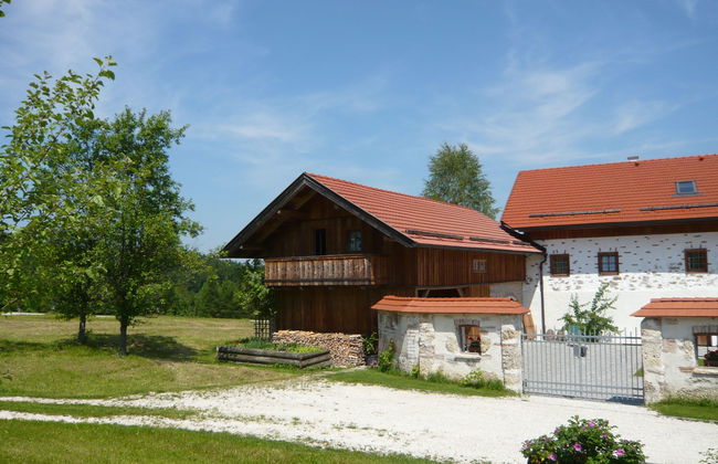 Lehner im Wald - Foto 25