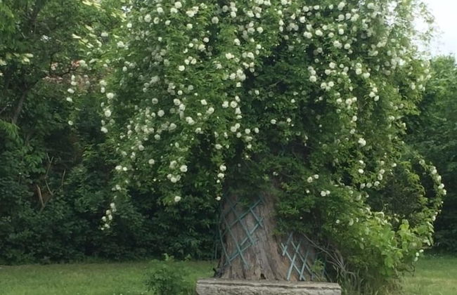 Agriturismo Corte San Girolamo - Foto 23