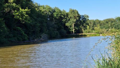 Domaine des Aulnaies - Beauval - Mareuil sur Cher - Photo 5, Garden