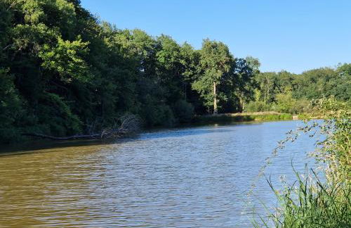 Domaine des Aulnaies - Beauval - Mareuil sur Cher - Foto 5
