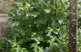 La Casa di Zia Rita - Foto 22