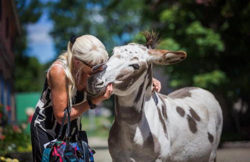 Gutshof Dragefeld - Foto 16