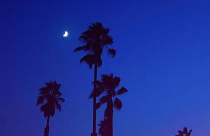 Beachfront Paradise - Foto 29