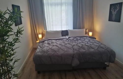 Kölsche Wohnung 2C - Foto 15