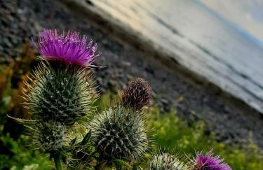 Stunning Riverside Town House With Views, Ayrshire - Foto 25