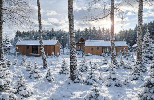 Ostoja Wycinki domki letniskowe - Foto 3