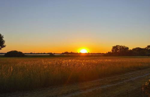 Mobilheim Monika - Foto 14