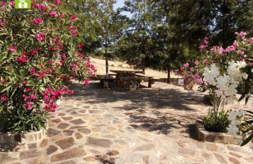 Casa das Bonecas - Foto 3