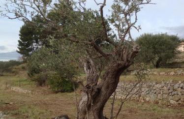 La Bastide des Cairns - Foto 24