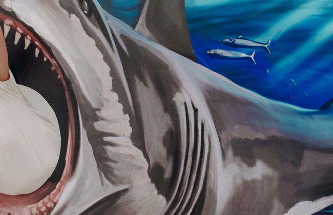 Entrada al 3D Fun Art Museum Portimão - Foto 1