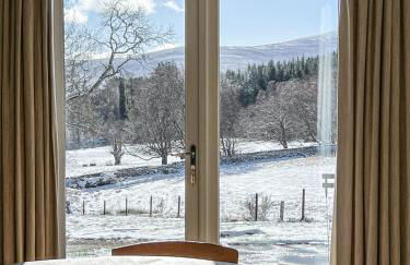 The Kennels - Foto 25