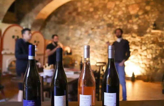 Visita a una cantina di Pozzolengo - Foto 5