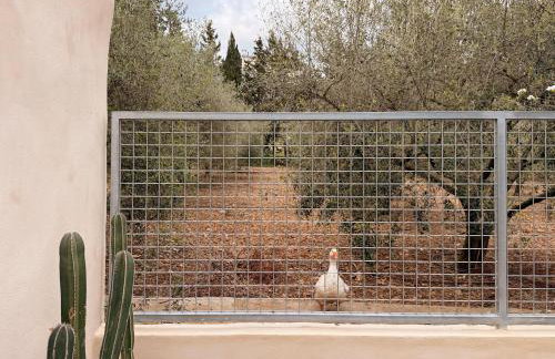 Manyolas 93 - Photo 15