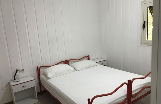 Funno delle noci - Foto 3