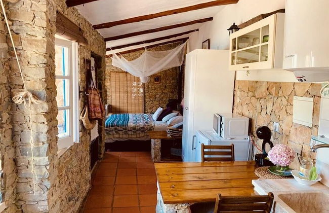 João Jungle - Foto 4