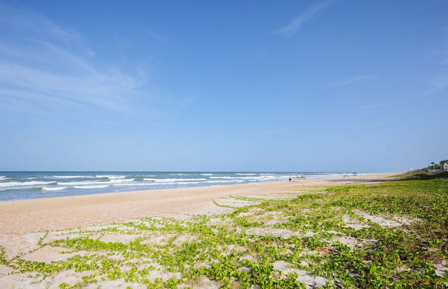 Ocean Palm Shore - Photo 22