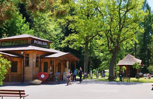 Lokal 40 - apartament w samym centrum - Dzieci do 12 lat gratis! - Foto 28