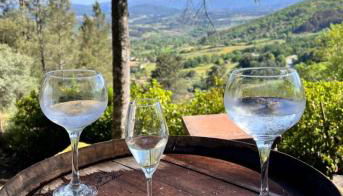 Quinta da Hortigueira - Country House - Foto 3