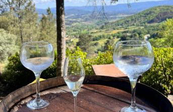 Quinta da Hortigueira - Country House - Foto 3