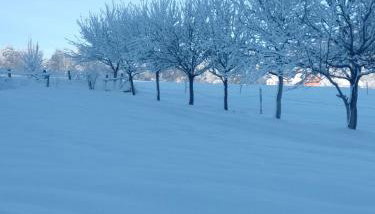 Apartman Djak - Foto 5