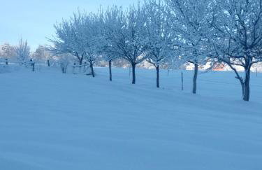 Apartman Djak - Foto 5