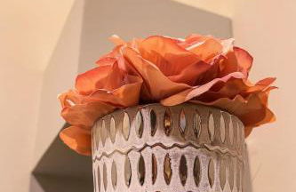 5BR House Close to Falls & Aquarium - Foto 54