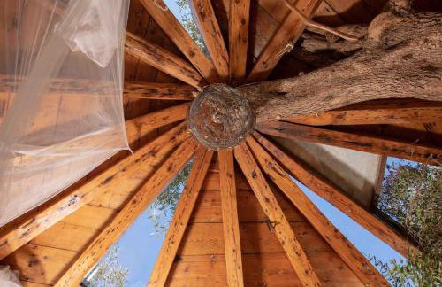 Margaritis's Treehouse - Foto 33