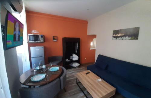 3 Apt T2 COSY de 40 à 50 M2 Idéal pour un déplacement PRO " Les IRIS " - Foto 18