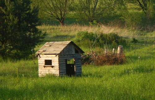 Ferienlandhaus Zempow - Photo 15