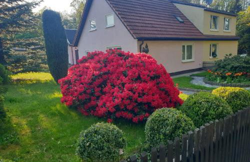 Ferienhaus Pali - idyllische Atmosphäre - Foto 1