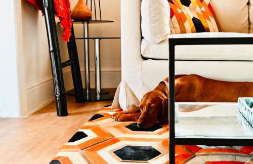 The Stables Hideaway - Foto 9