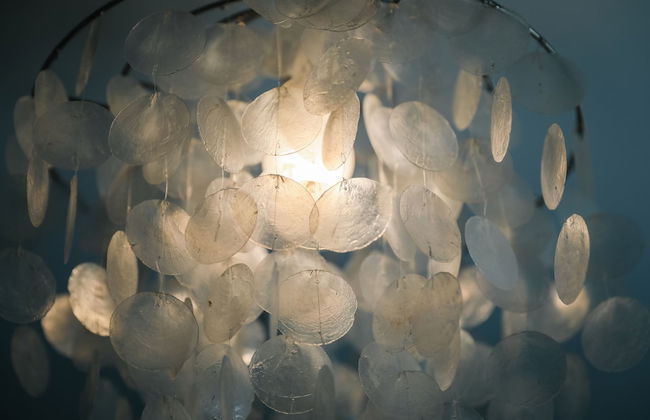 Cherry Trees - Foto 41