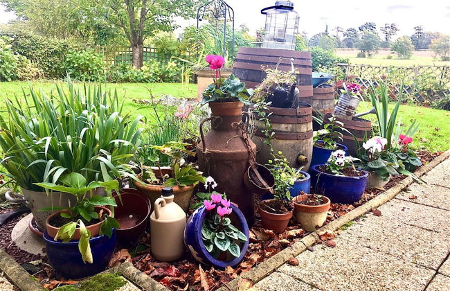 Cottage in Sainte-marguerite - Foto 12