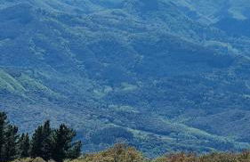 Ca la Pauleta - Foto 65