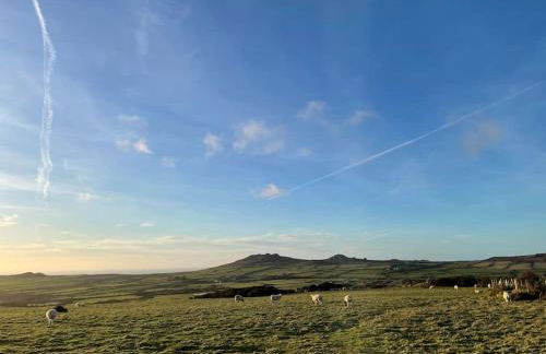 The Hut@Trefechan Wen - Coastal Coziness! - Photo 25
