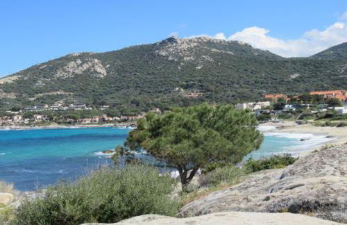 T2 rénové 100m plage avec SPA privatif entre calvi et ile rousse - Foto 9