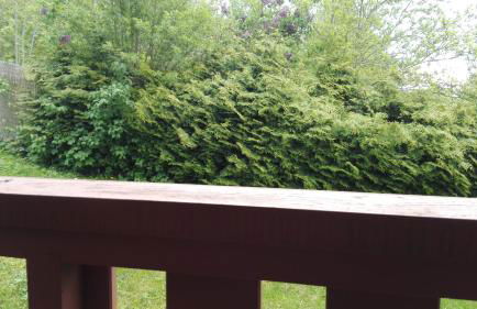 L'appart de lônes - Foto 24