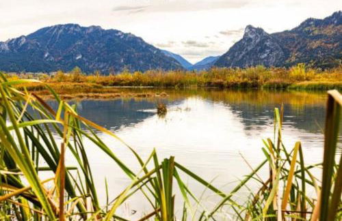 Wetzstoa Chalet in Unterammergau mit Sauna und Whirlpool - Foto 61