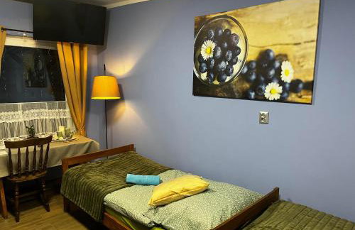 Agroturystyka Mirabelkowe Zacisze - Foto 45