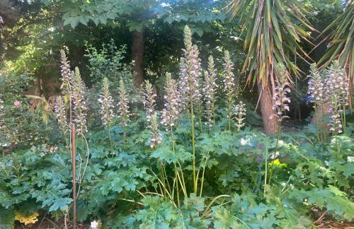 Maison DELMAS, l'Oustal du Recantu - Foto 29