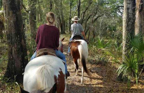 The perfect Little Cottage for your gateway! - Foto 20