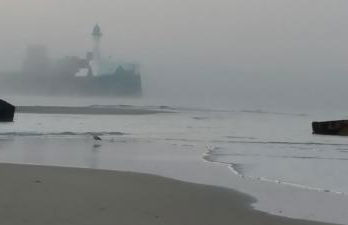 LA TERRASSE DE NOTRE DAME - Foto 51