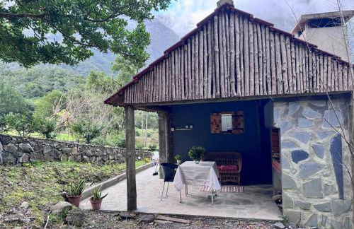 Casa do Til - Foto 43