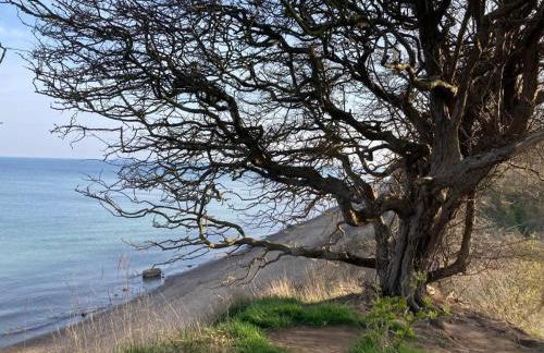 Gemütliche FeWo mit Balkon nahe der Ostsee - 2 Schlafzimmer - Foto 31