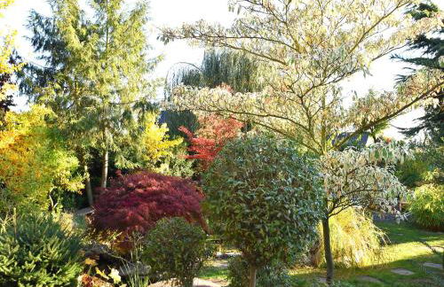 Wohnung in Bad Zwesten am Edersee - Foto 36