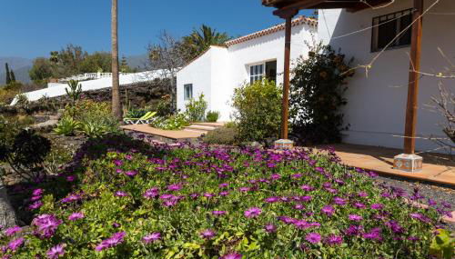 Casa Arándano - Foto 5