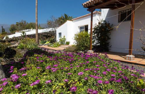 Casa Arándano - Foto 5