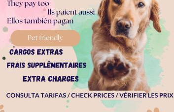 Little love - Foto 12